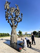 IMG-030.jpg