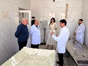IMG-007.jpg