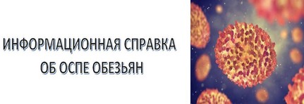 Информационная справка об ОСПЕ Обезьян