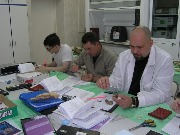 P1015712.jpg